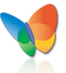 msn_butterfly1.jpg